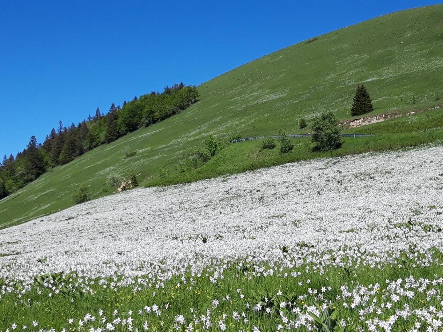 Valreley, Chambres Et Table D'Hotes Eco-Friendly Avec Bain Nordique Au Sud Du Massif Du Jura Champagne-en-Valromey エクステリア 写真